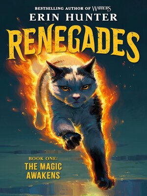cover image of The Magic Awakens